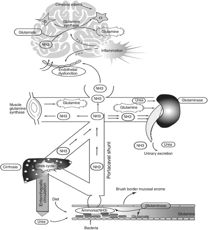 Fig. 2.2