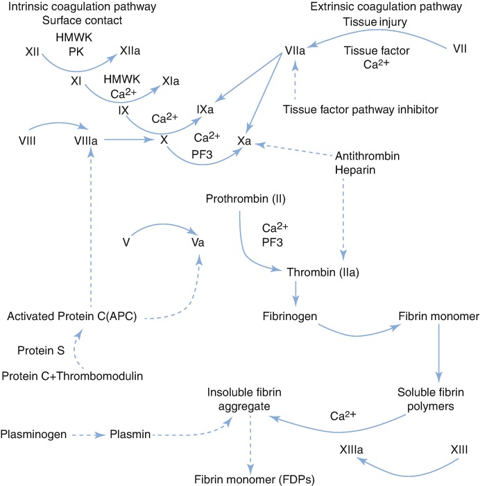 Fig. 2.1