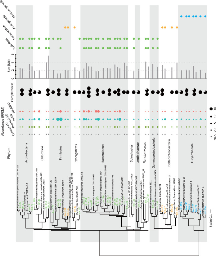 FIG 2