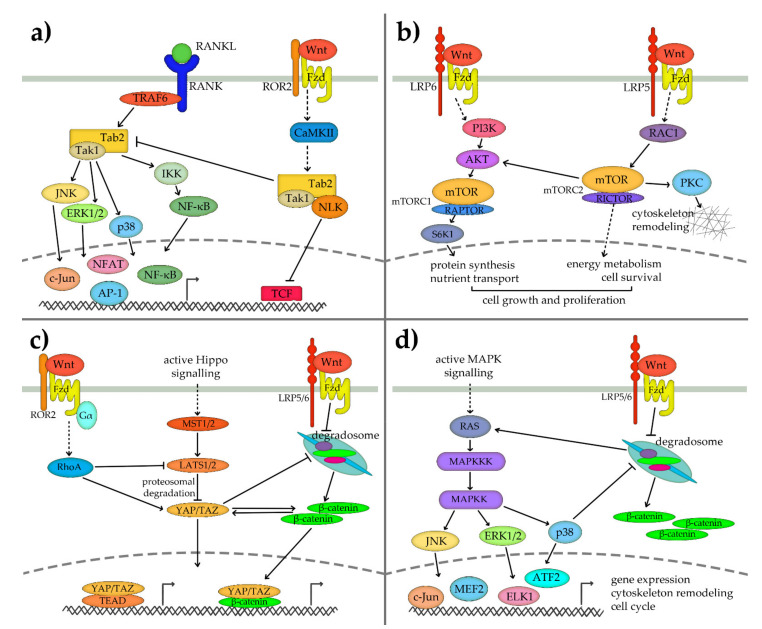 Scheme 3