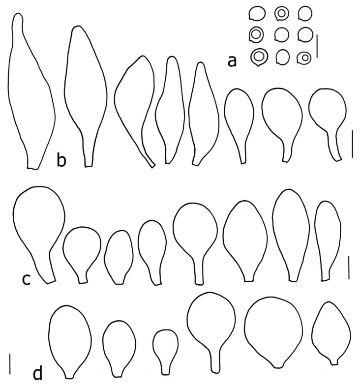 Figure 21