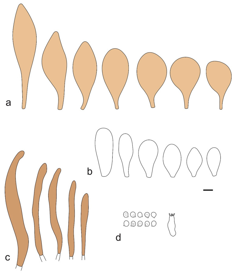Figure 15