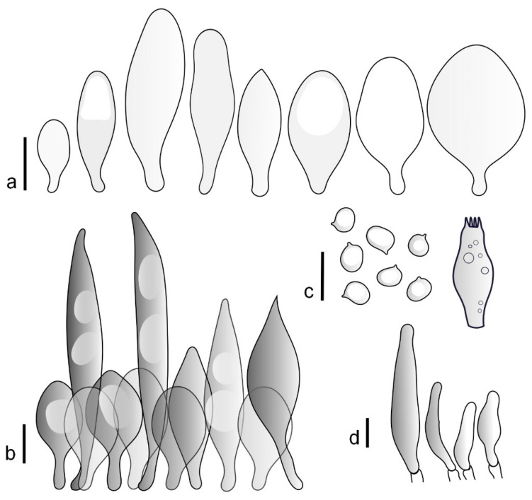 Figure 13