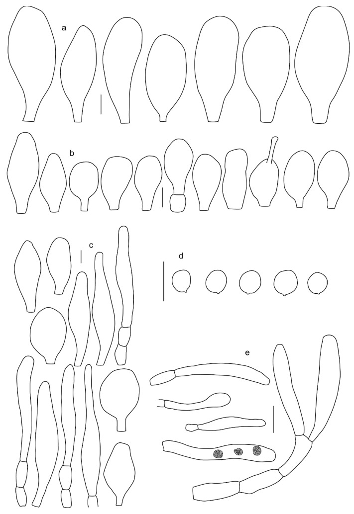 Figure 23