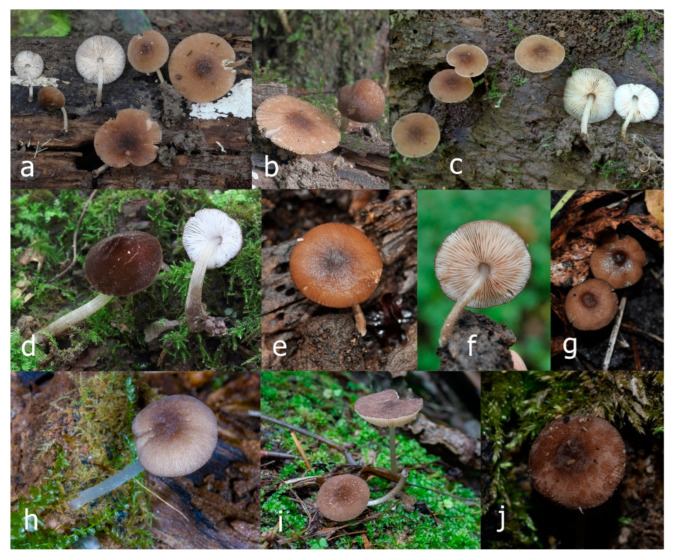 Figure 12