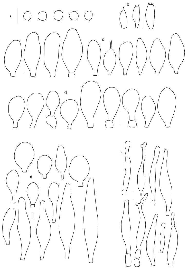 Figure 9