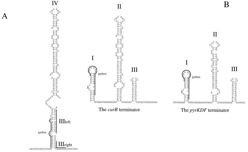 FIG. 5