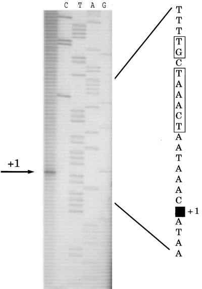 FIG. 3