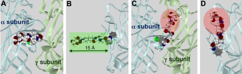 Fig. 8.