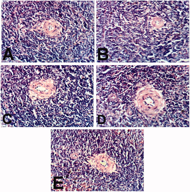 Figure 5.