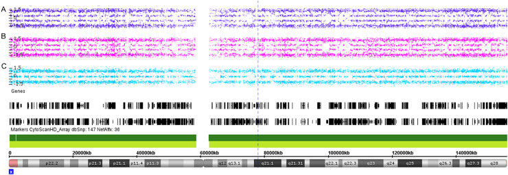 Fig. 1