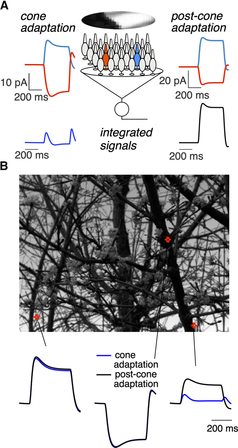 Figure 14.