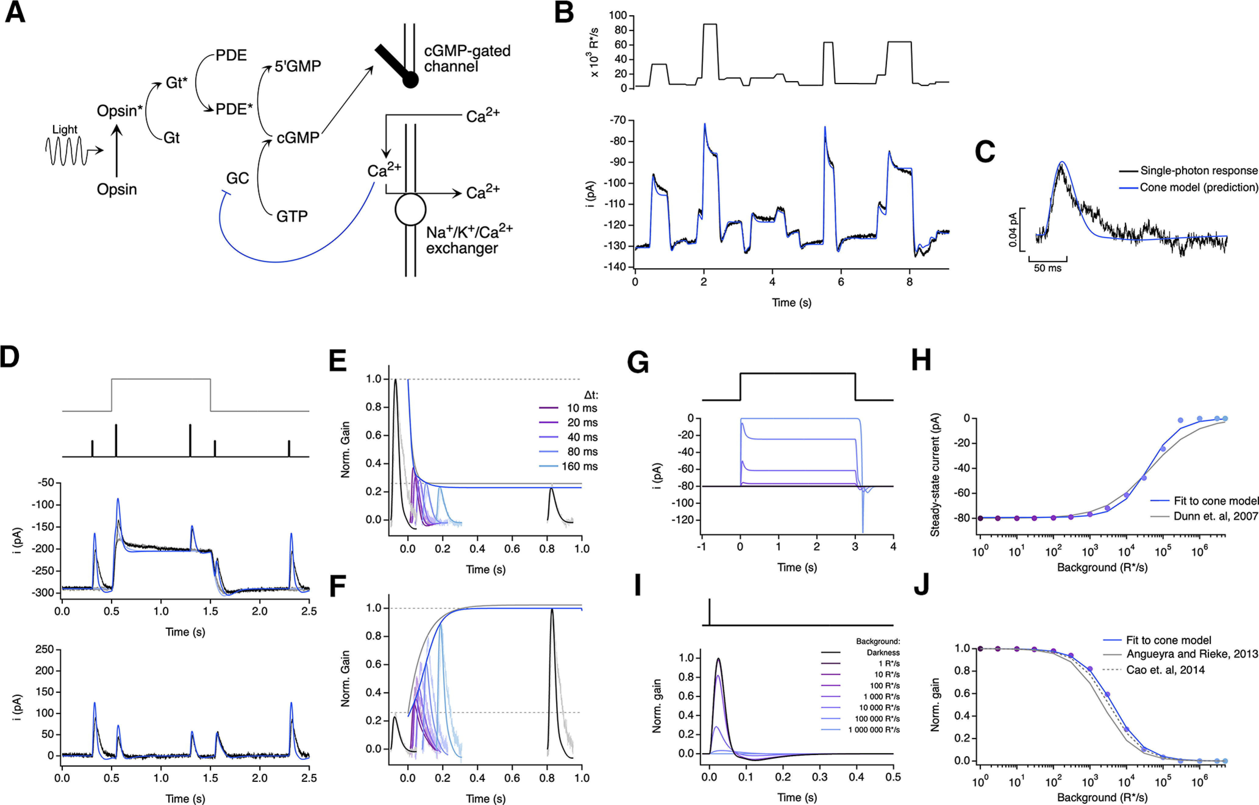 Figure 9.