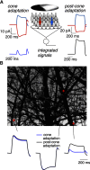 Figure 14.