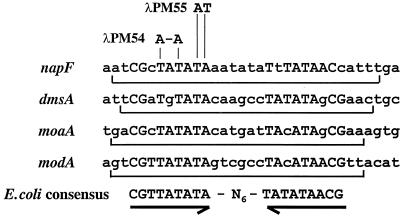 FIG. 4.