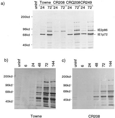 FIG. 5