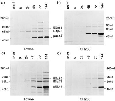 FIG. 7