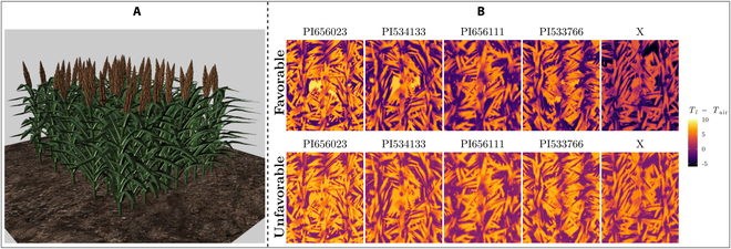 Fig. 7.