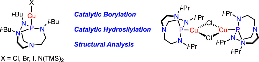 graphic file with name ic4c04779_0008.jpg