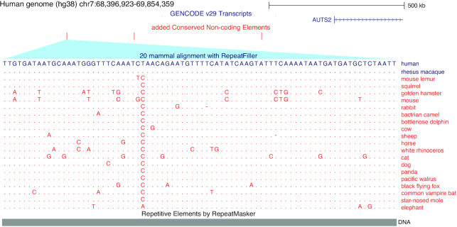 Figure 5: