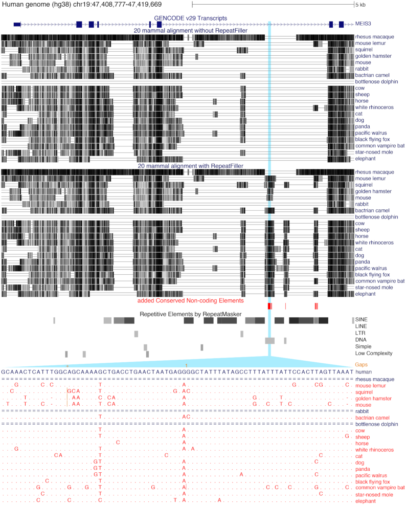 Figure 4: