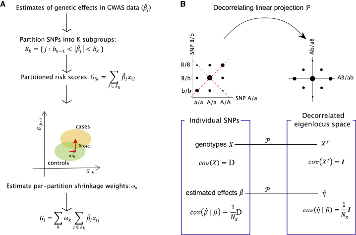 Figure 1