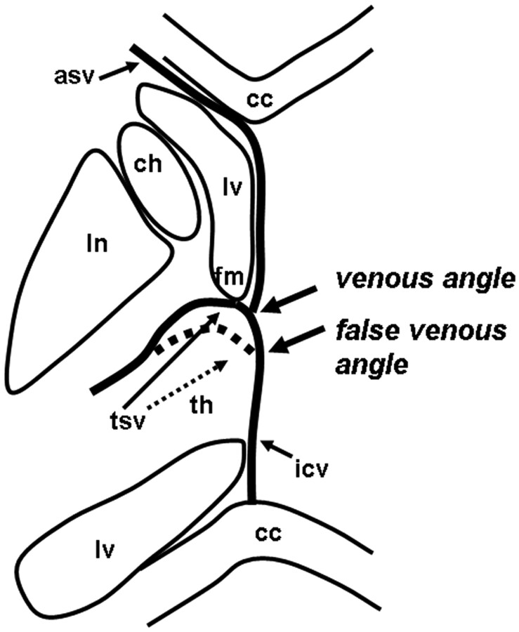 Fig 1.