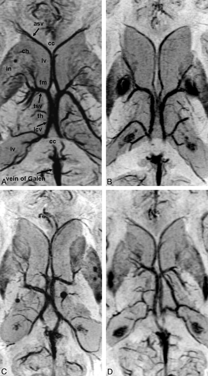 Fig 3.