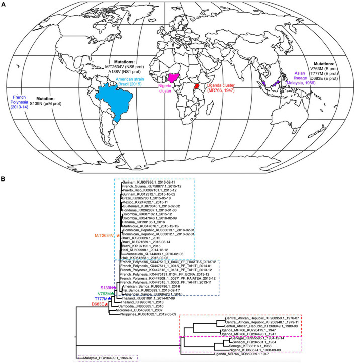 FIGURE 2