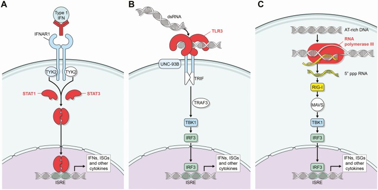 Figure 3.