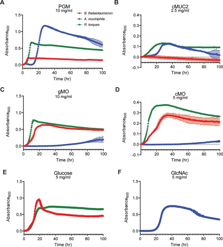 Growth curves depict absorbance at 600 nanometers for B. thetaiotaomicron, A. muciniphila, and R. torques on different substrates: PGM, cMUC2, gMO, cMO, glucose, and GlcNAc over 100 hours.