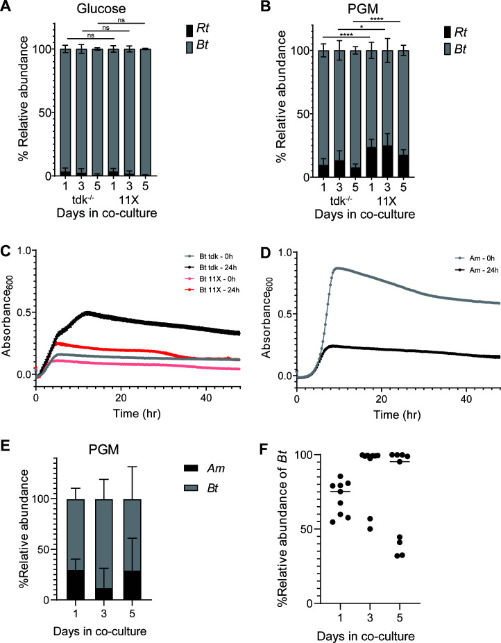 Relative abundance of Rt and Bt over 1, 3, and 5 days in co-culture. Growth of Bt and Am on digested PGM are also depicted. Abundance of Am and Bt over 1, 3, and 5 days in co-culture, and Bt’s relative abundance are displayed.