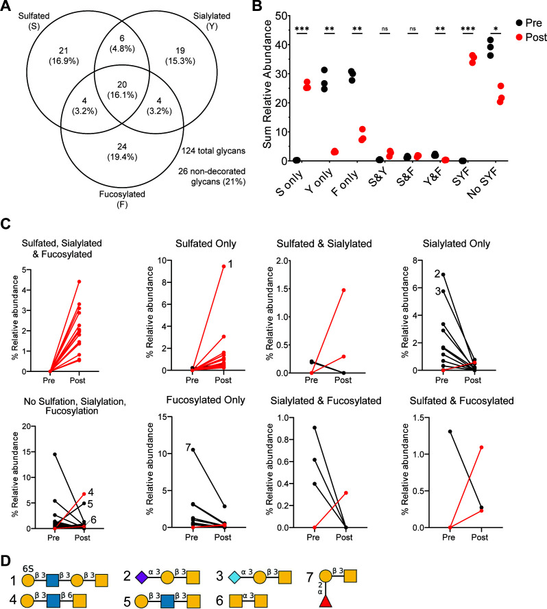 Venn diagram depicts the overlap of sulfated, sialylated, and fucosylated glycans. Scatterplot depicts the sum relative abundance of glycans pre-treatment and post-treatment. Line graphs plot changes in percentage relative abundance of glycans.