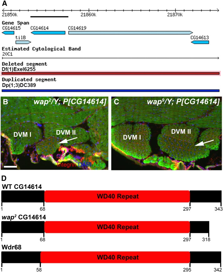 Figure 5