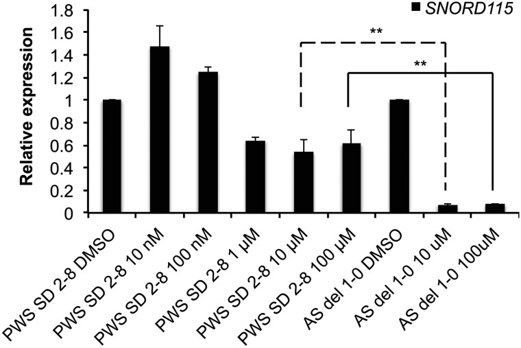 Figure 5.