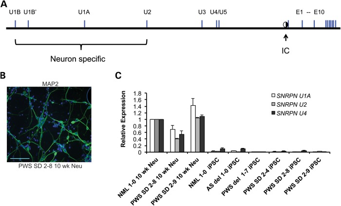 Figure 4.