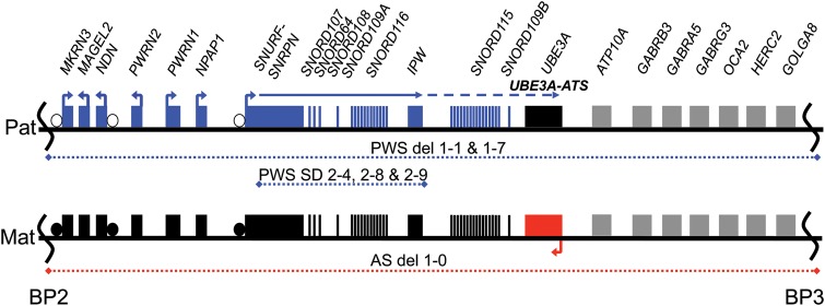 Figure 1.