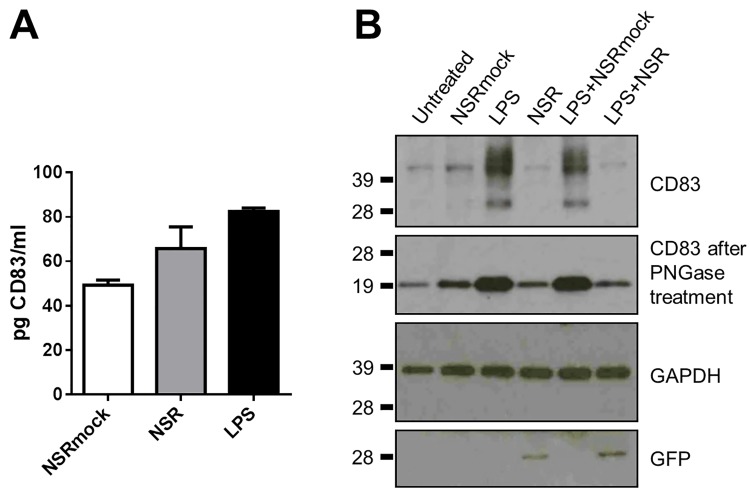 Fig 7