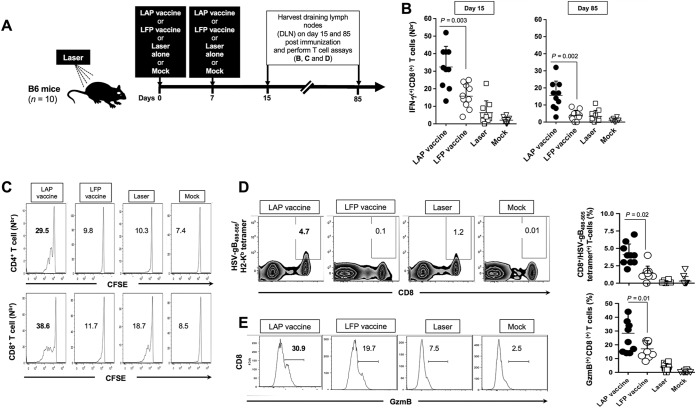 FIG 3