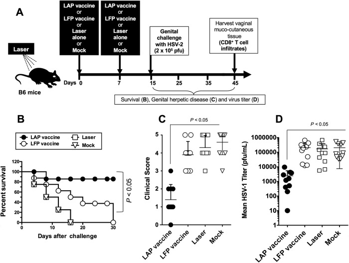 FIG 4