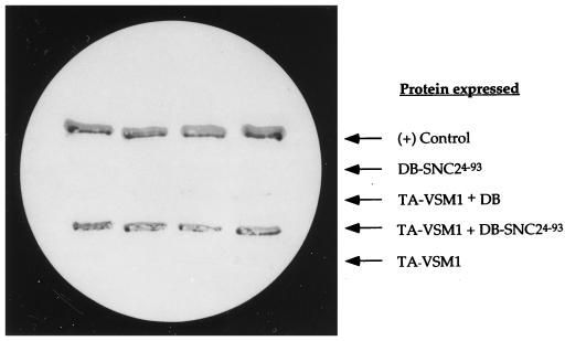 FIG. 1