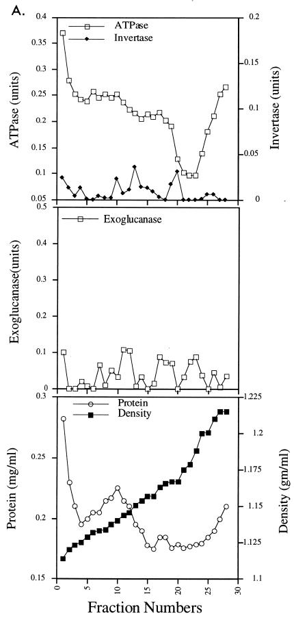 FIG. 7