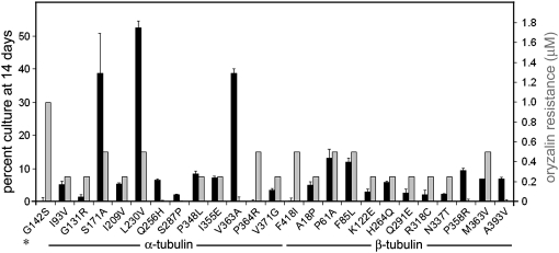 Figure 6.—