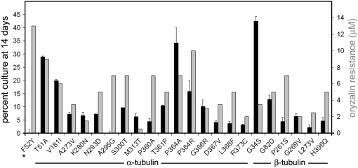 Figure 5.—