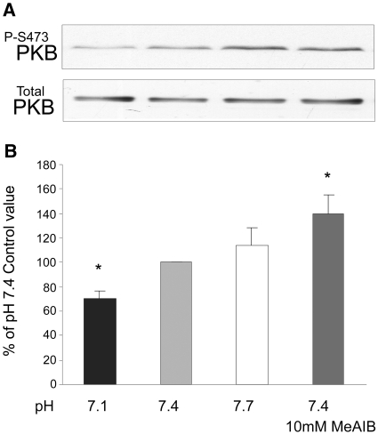 Figure 7.