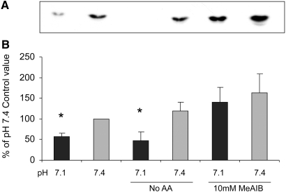 Figure 11.