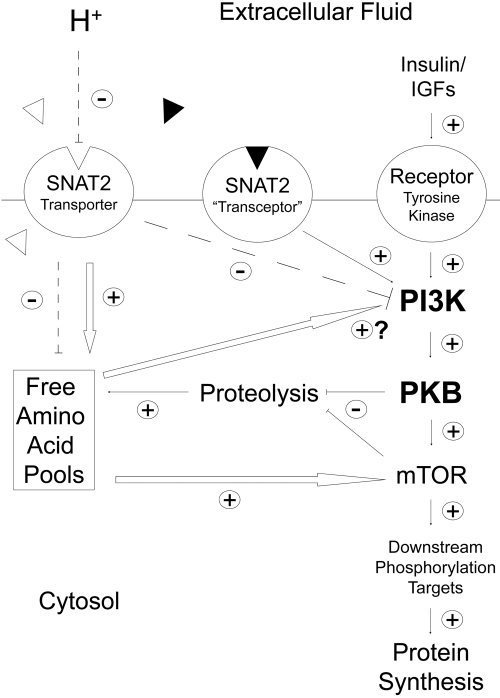 Figure 10.