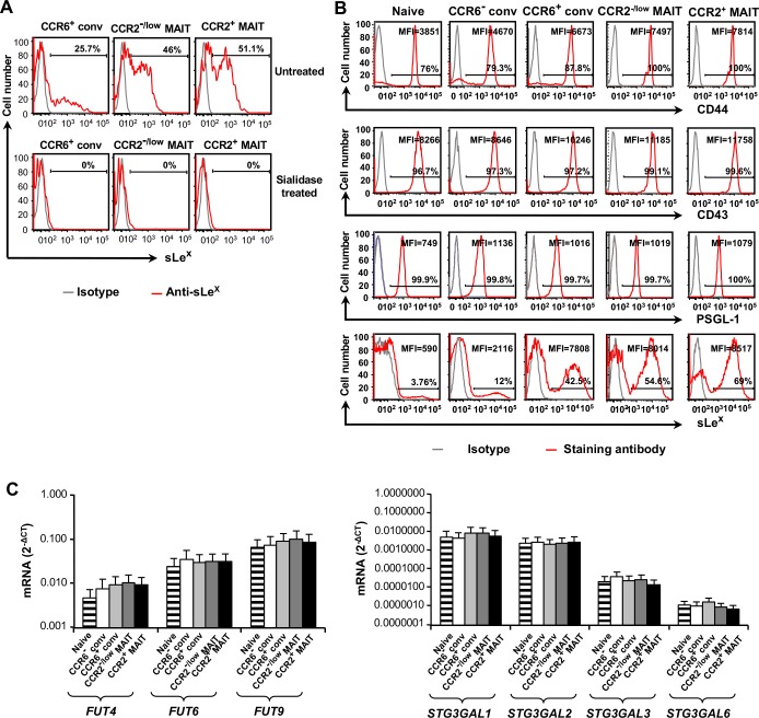 Figure 3—figure supplement 1.