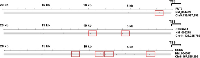 Figure 7—figure supplement 2.