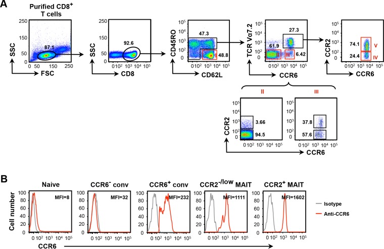 Figure 2—figure supplement 1.